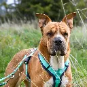 AnnyX Y-tuigje Ocean.webp