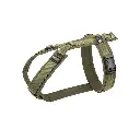 Shop_Brustgeschirr_oliv-oliv normaal.webp