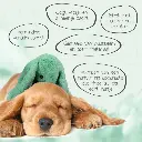 Cozy Dog Bunny2.webp