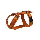 AnnyX Y-tuigje Maple.webp