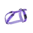 Shop_Brustgeschirr_Lavendel normaal.webp