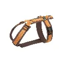 Shop_Brustgeschirr_braun-bernstein normaal.webp