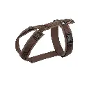 Shop_Brustgeschirr_braun-braun normaal.webp