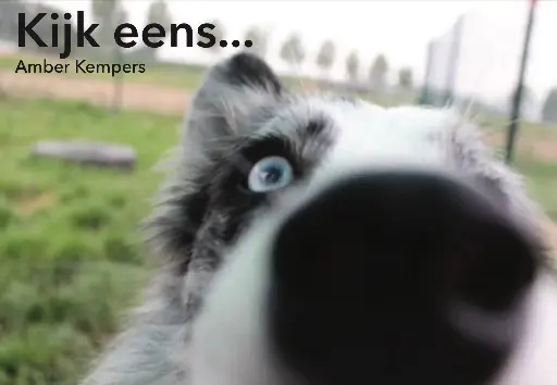 E-book: Kijk Eens