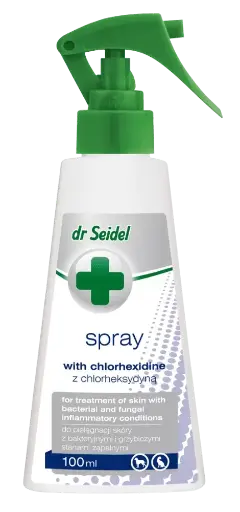 Spray met chloorhexidine voor de behandeling ontstoken huid 100ml